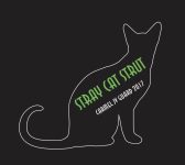 WGJVStrayCat